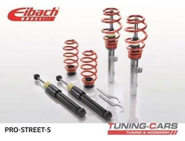 Suspensie sport reglabila Eibach (Audi A3,  TT,  Golf IV) - PSS65-85-001-02-22