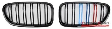Grila fata BMW F10,  F11 - FS051003