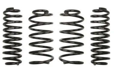 Arcuri sport Eibach ProKit Dacia Logan III - E10-26-007-01-22