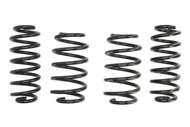 Arcuri sport Eibach Prokit VW Passat CC - E10-85-016-09-22