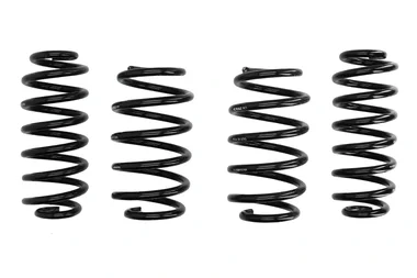 Arcuri sport Eibach Prokit VW Passat CC - E10-85-016-09-22