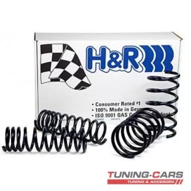 Arcuri sport H&R Audi A4 - 29061-3